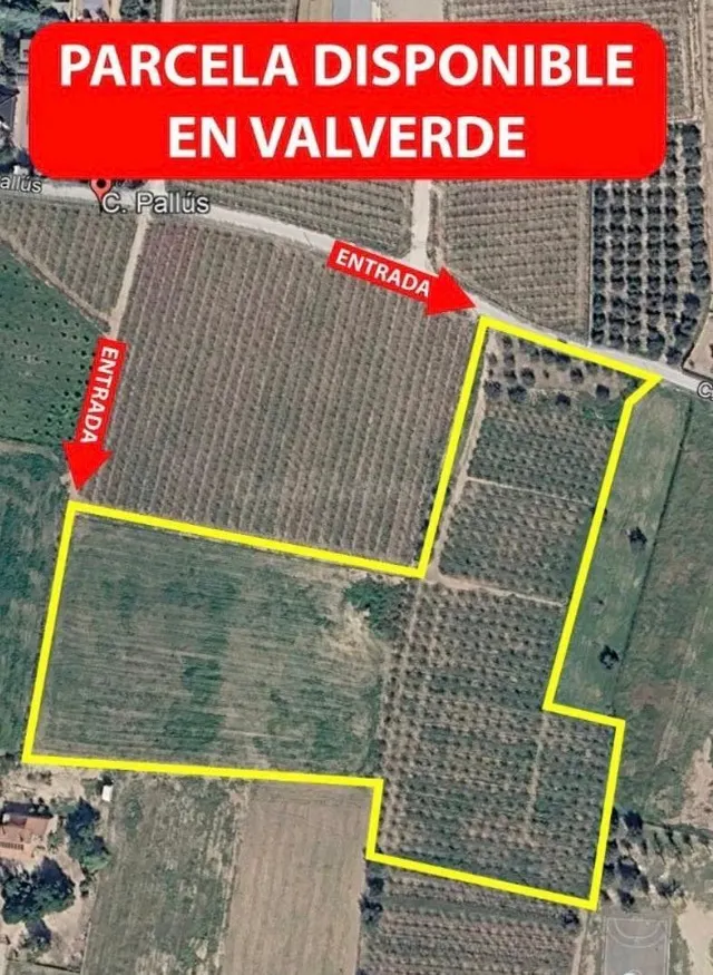 Parcela a la venta en Elche, zona Valverde. - foto 2