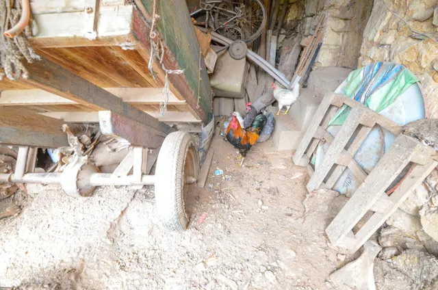 Urbis te ofrece una casa con terreno en venta en Doñinos de Salamanca, Salamanca. — 7