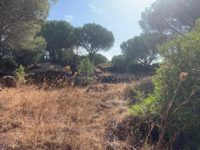 ZONA LAS JARAS - Parcela urbana de terreno de 1.500 m2 con p - foto 3