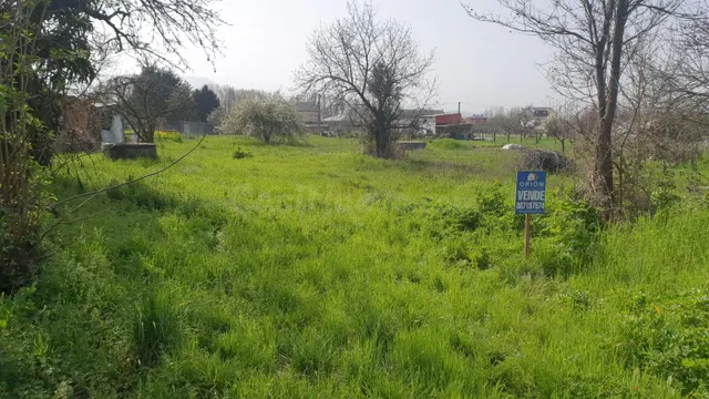 SOLAR EN VENTA EN CAMPONARAYA DE 1700 M2 - foto 3