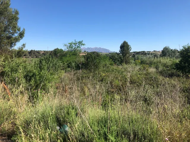 GRAN PARCELA EN VENTA EN GELIDA -10689 M2- — 5