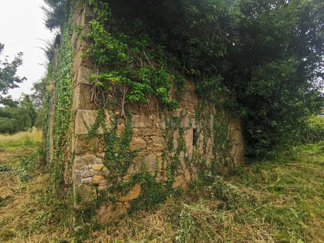 Casa para restaurar con 3000 metros de terreno - foto 3