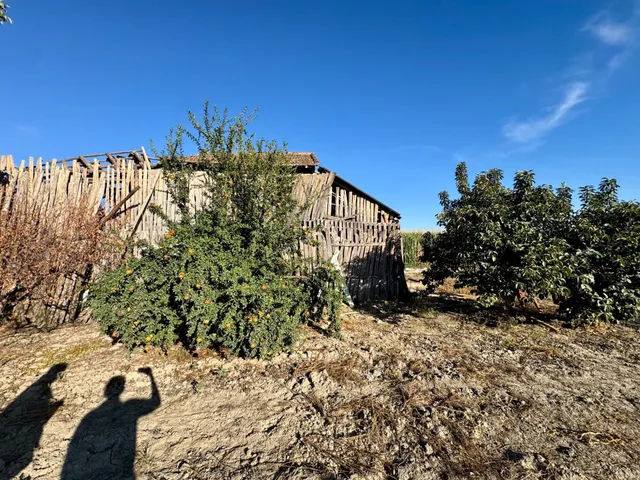 TERRENO RÚSTICO EN VENTA EN CHAUCHINA – 3.146 m2 CON POZO Y construcciones — 14