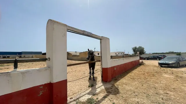 Local comercial 60m² en venta - Jerónimo Y Avileses — 10