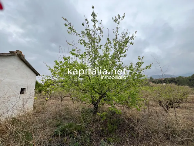 Parcela a la venta en Albaida - foto 3