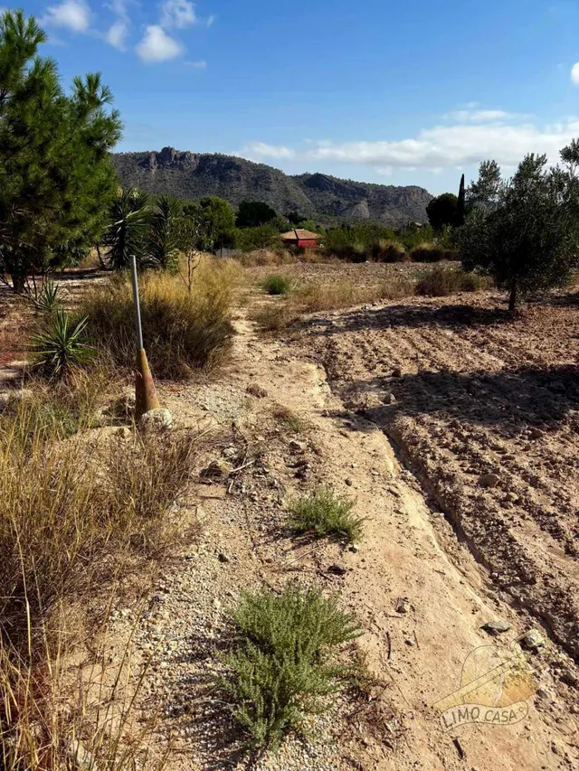 Parcela 99m² en venta - Ricote - foto 4