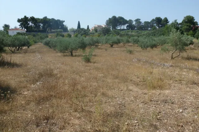Parcela en Partida La Solana - Ontinyent — 8