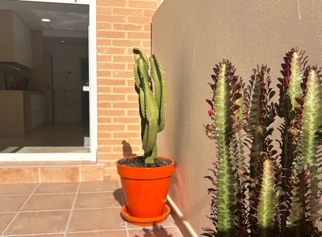 PISO DE LUJO EN CAROLINAS ALTAS, ALICANTE — 24