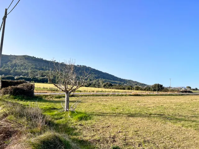Finca rústica en Alcudia — 16