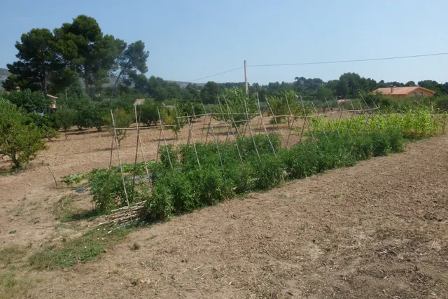 Parcela en Partida La Solana - Ontinyent — 3