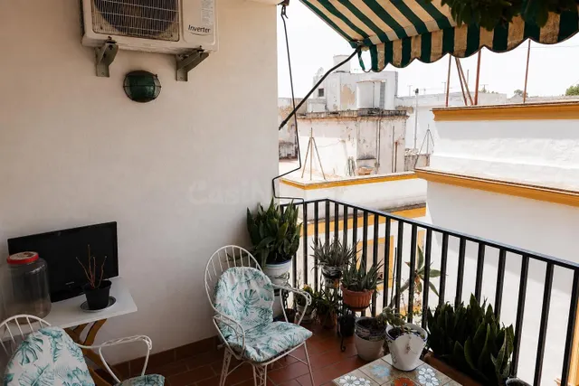 Amplia vivienda en zona catedral – Jerez de la Frontera — 4