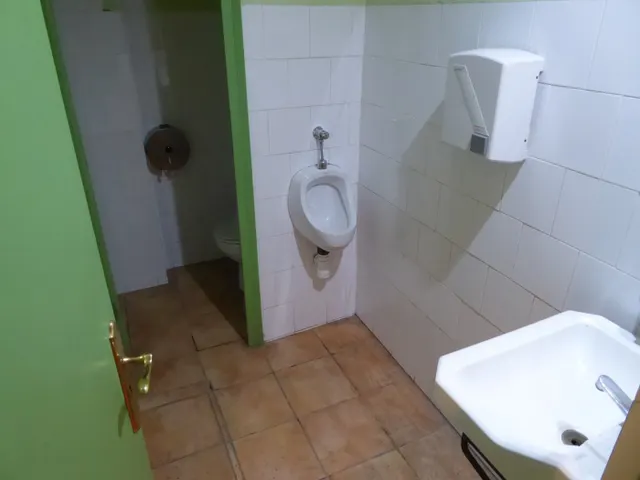 VENTA MASIA EN TOUS CON PISCINA Y ERMITA!! — 39