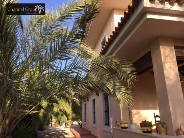 SE VENDE MAGNIFICO CHALET NOVELDA — 25