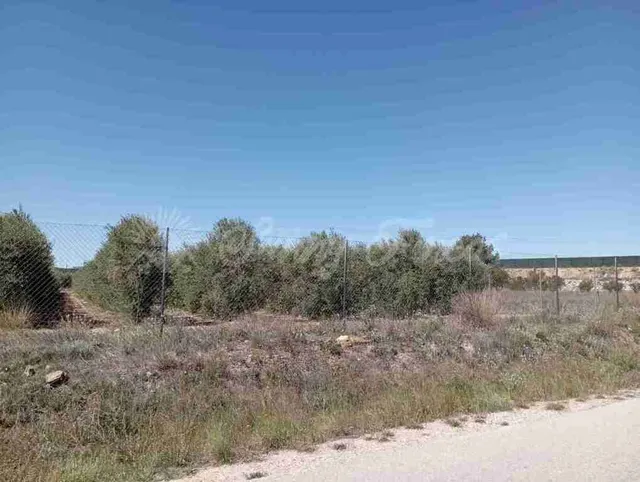 Suelo urbanizable en Venta en Caudete Albacete - foto 3