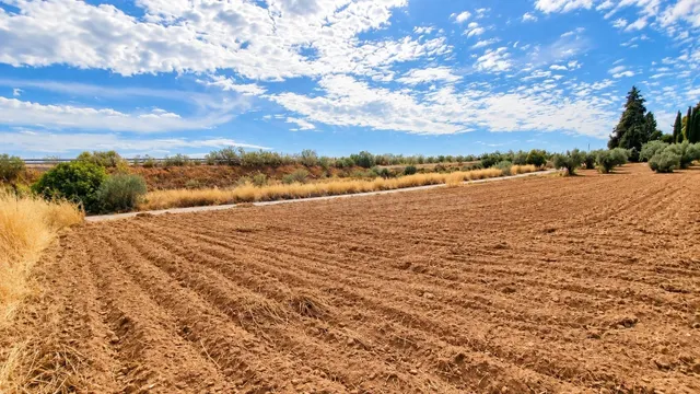 Parcela rústica de 4.824 m2 en Llanos de Moraleda, Moraleda  - foto 2