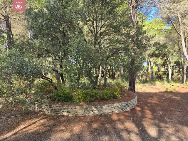 Terreno en urb pinares del jucar — 6