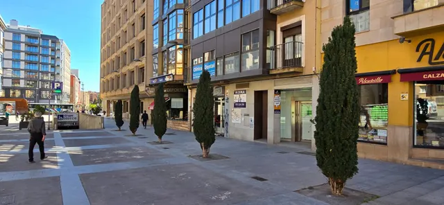 Local calle Ferial, zona peatonal — 20