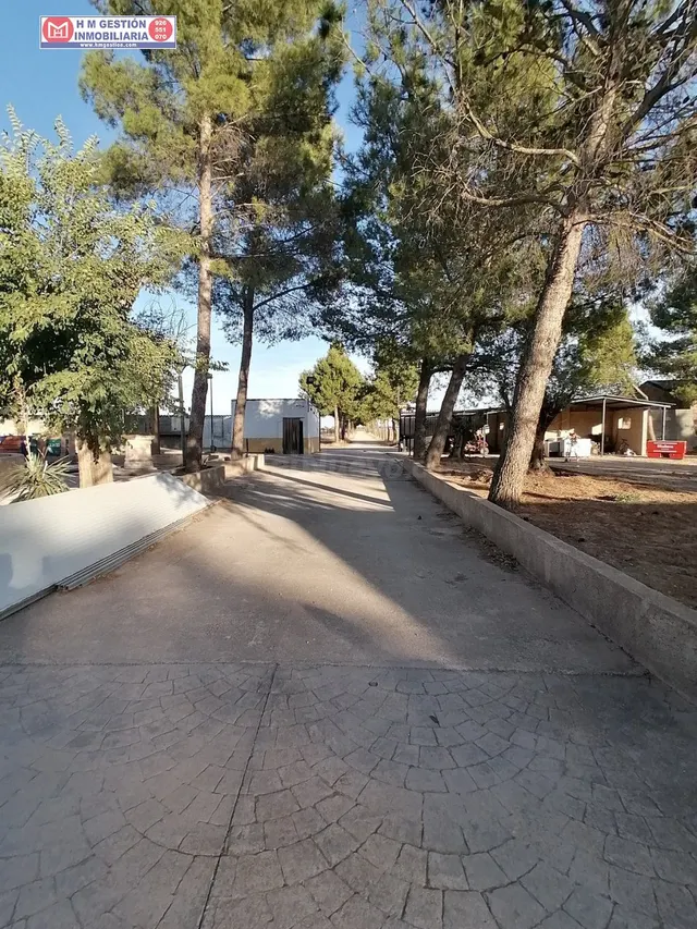 Casa en el campo sobre parcela de 30.000 metros con 400 oliv - foto 3