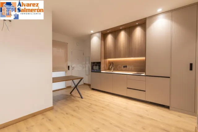 MODERNO ESTUDIO TIPO LOFT EN URBANIZACIÓN VILLA PINEDA - ZONA VILLAREJO — 2