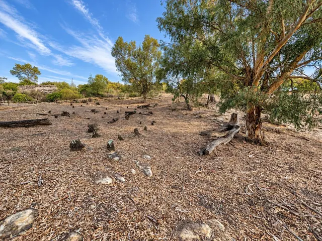 Finca rústica de 18.444 m2 con pozo y construcción catastrada en Alcalá de los Gazule — 31