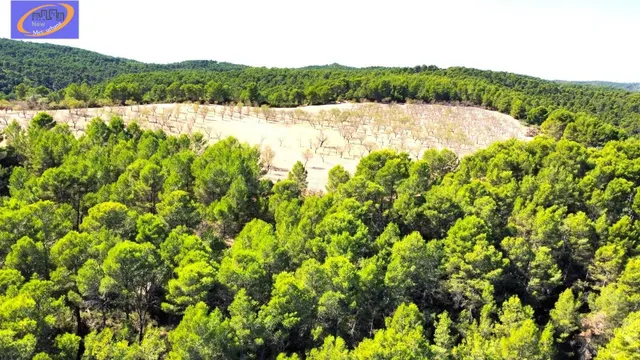 EN VENTA FINCA DE PASTOS EN YATOVA - foto 5