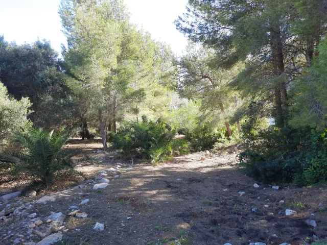Parcela en zona Corral de calafat — 20