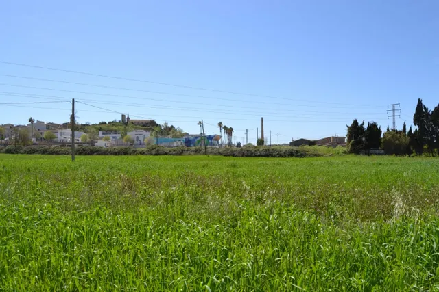 Finca rústica en venta en Santa Margalida. - foto 3