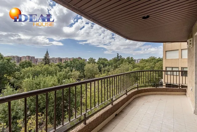 Pisazo en paseo del salón - Granada — 2