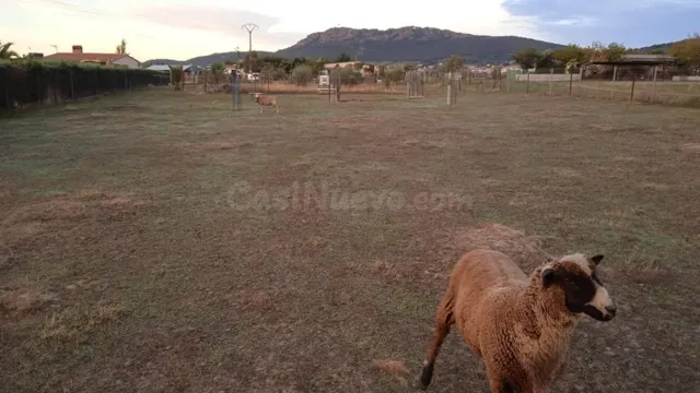 Bonita y cuadrada parcela en Sierra de Fuentes. - foto 4