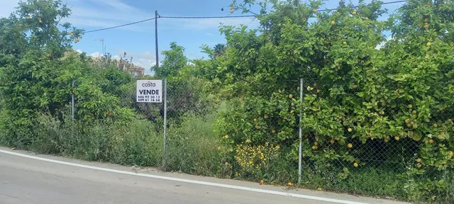 Se vende parcela edificable en la pedanía de la Raya