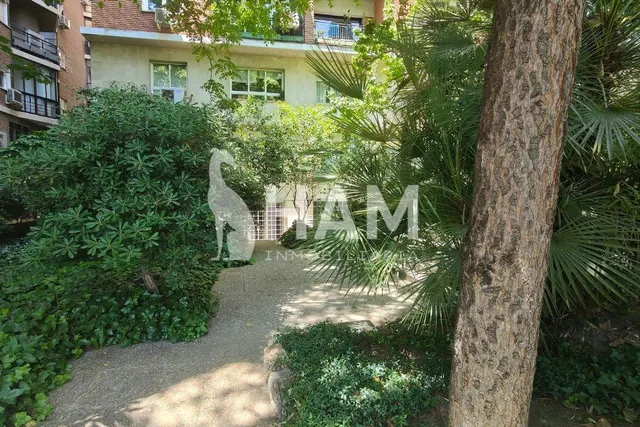 Local de 289 m2 en Padre Damián, Chamartín — 48