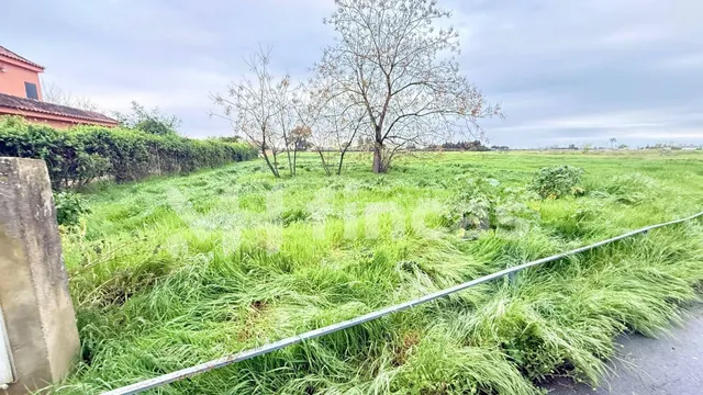 Suelo urbano no consolidado de 16.893 m2 en Utrera – oportun - foto 4