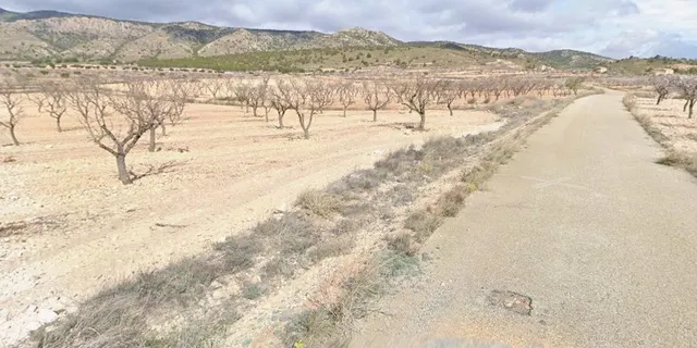 Parcela en venta en Pinoso, Alicante - foto 5
