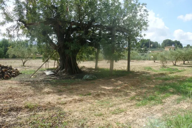 Terreno en Camí Les Boles - Ontinyent — 5