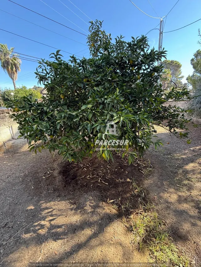 Chalet Independiente con piscina, en la zona de Alcolea. — 41