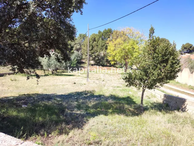 TERRENO URBANO A LA VENTA EN L´ALCUDIA DE CRESPINS. — 2