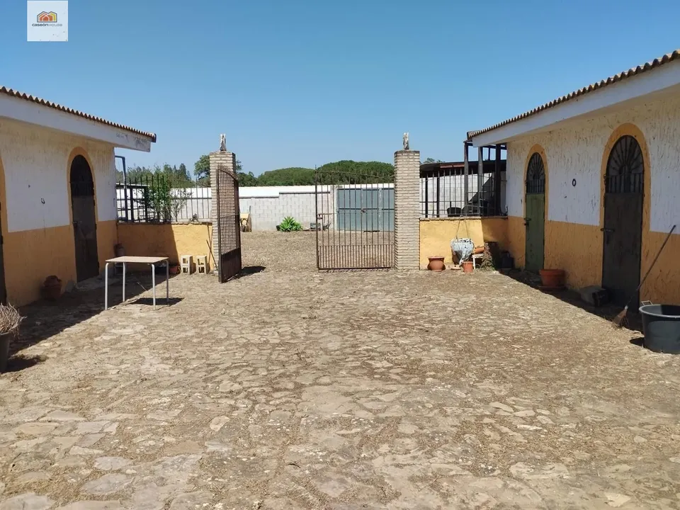 Campito en el pago del humo ideal para caballos