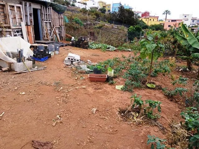 Terreno rural en La Corujera, Santa Úrsula — 6