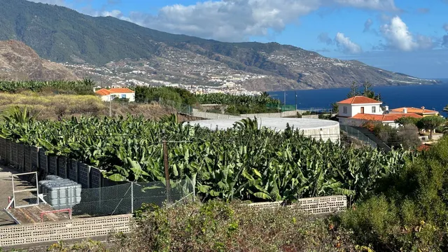 OPORTUNIDAD ÚNICA: GRAN FINCA DE 31.000 M2, secciones URBANA - foto 2