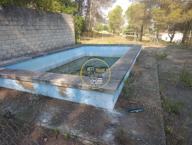 OPORTUNIDAD FINCA RUSTICA PROXIMA A LA POBLACION DE ONTINYEN - foto 5