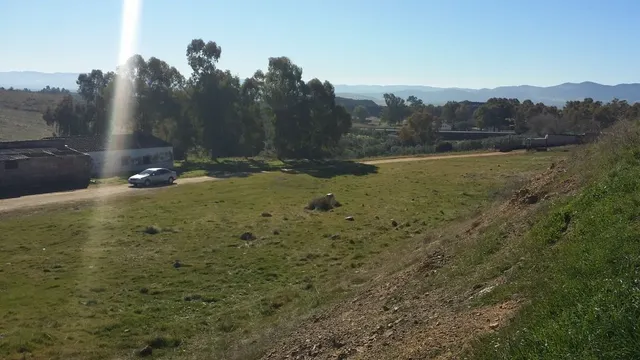 FINCA RÚSTICA ENTRE BELMEZ Y PEÑARROYA-PUEBLONUEVO — 10