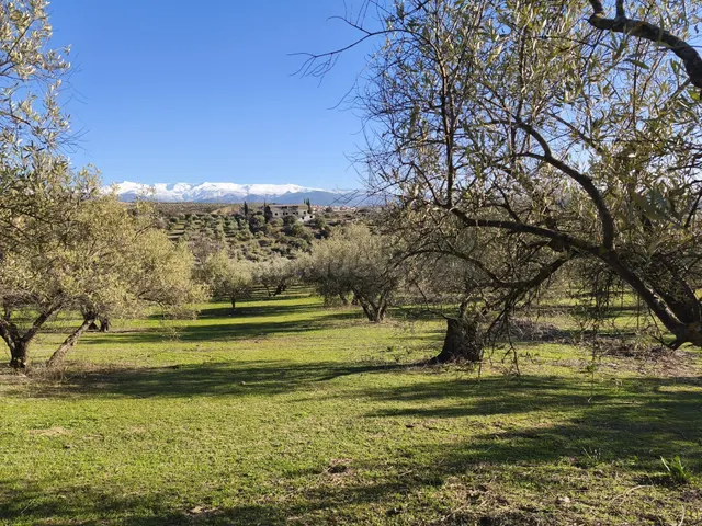 Terreno rural en venta - Sierra de huetor y la alfaguara — 5