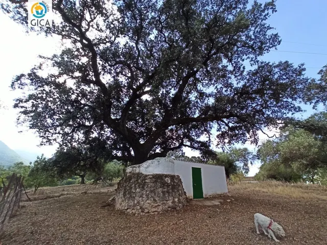 CASA CON PARCELA  EN LA SIERRA DE CADIZ -EL BOSQUE — 24