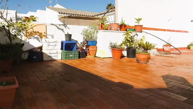 CASA EN CARTAYA — 43