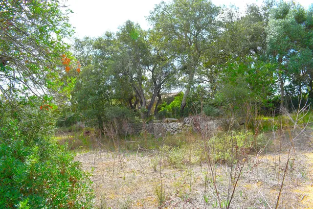 Finca rústica con posibilidad de vivienda en Llubi — 8
