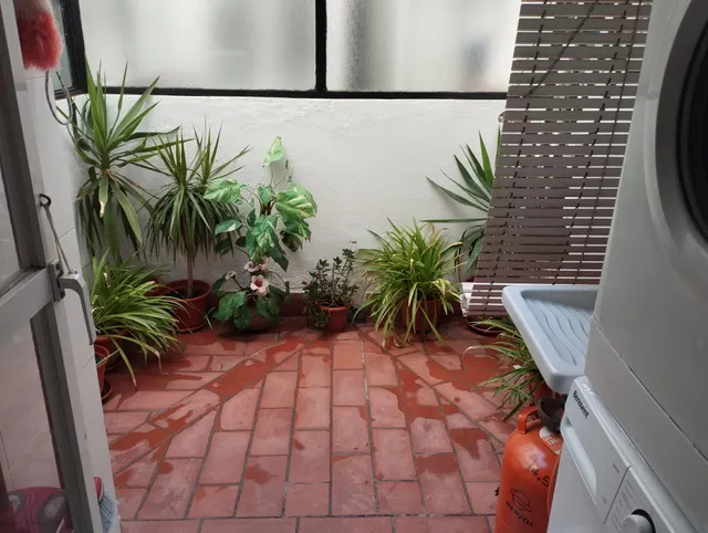 Maravillo casa — 7