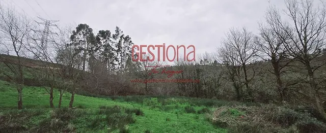 CABAÑA CON ARROYO,  PROYECTO Y CAMBIO DE USO EN LLANOS. PENAGOS — 49