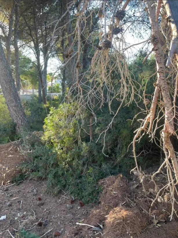 Parcela en Benissa costa - foto 3