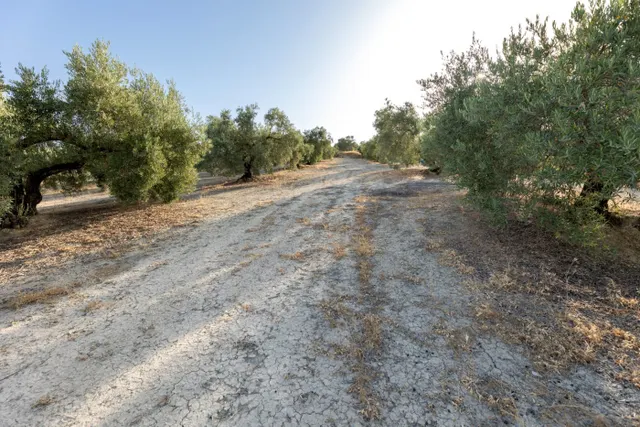 Terreno rural en venta - Alfacar — 34