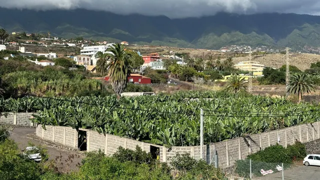 OPORTUNIDAD ÚNICA: GRAN FINCA DE 31.000 M2, secciones URBANA - foto 4